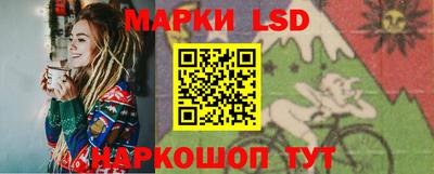 стаф Гатчина