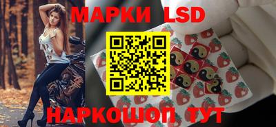 стаф Гатчина