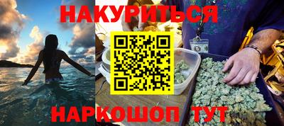 стаф Гатчина
