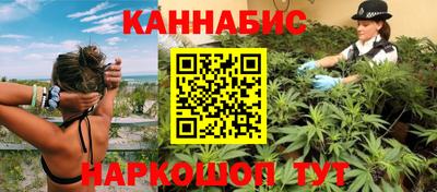 стаф Гатчина