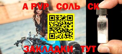 стаф Гатчина