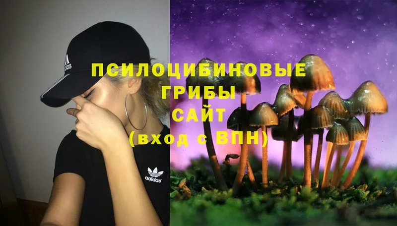 Псилоцибиновые грибы Cubensis  Знаменск 