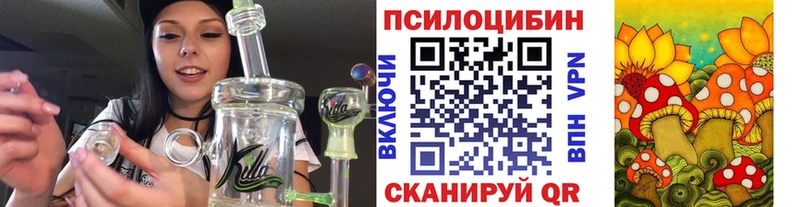 Галлюциногенные грибы GOLDEN TEACHER Знаменск