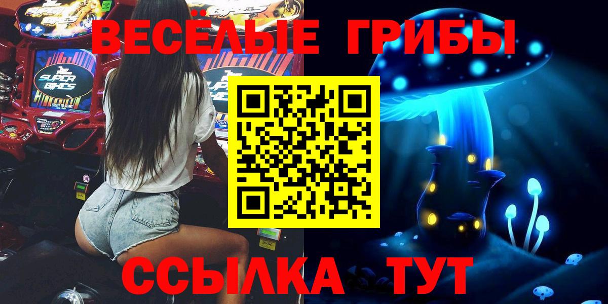 что такое   Вход с VPN  Знаменск  Псилоцибиновые грибы прущие грибы 