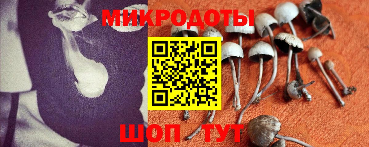 Псилоцибиновые грибы ЛСД Знаменск